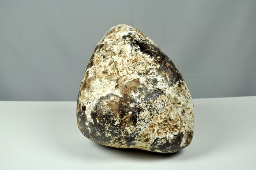 Ambre gris de cachalot